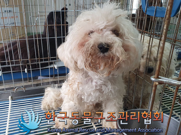 한국동물구조관리협회_441559202300462